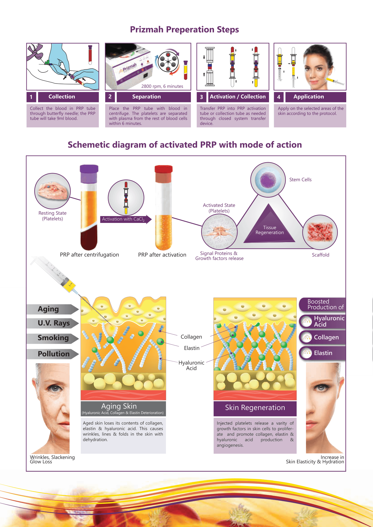 Aging skin vs. skin regeneration with Prizmah