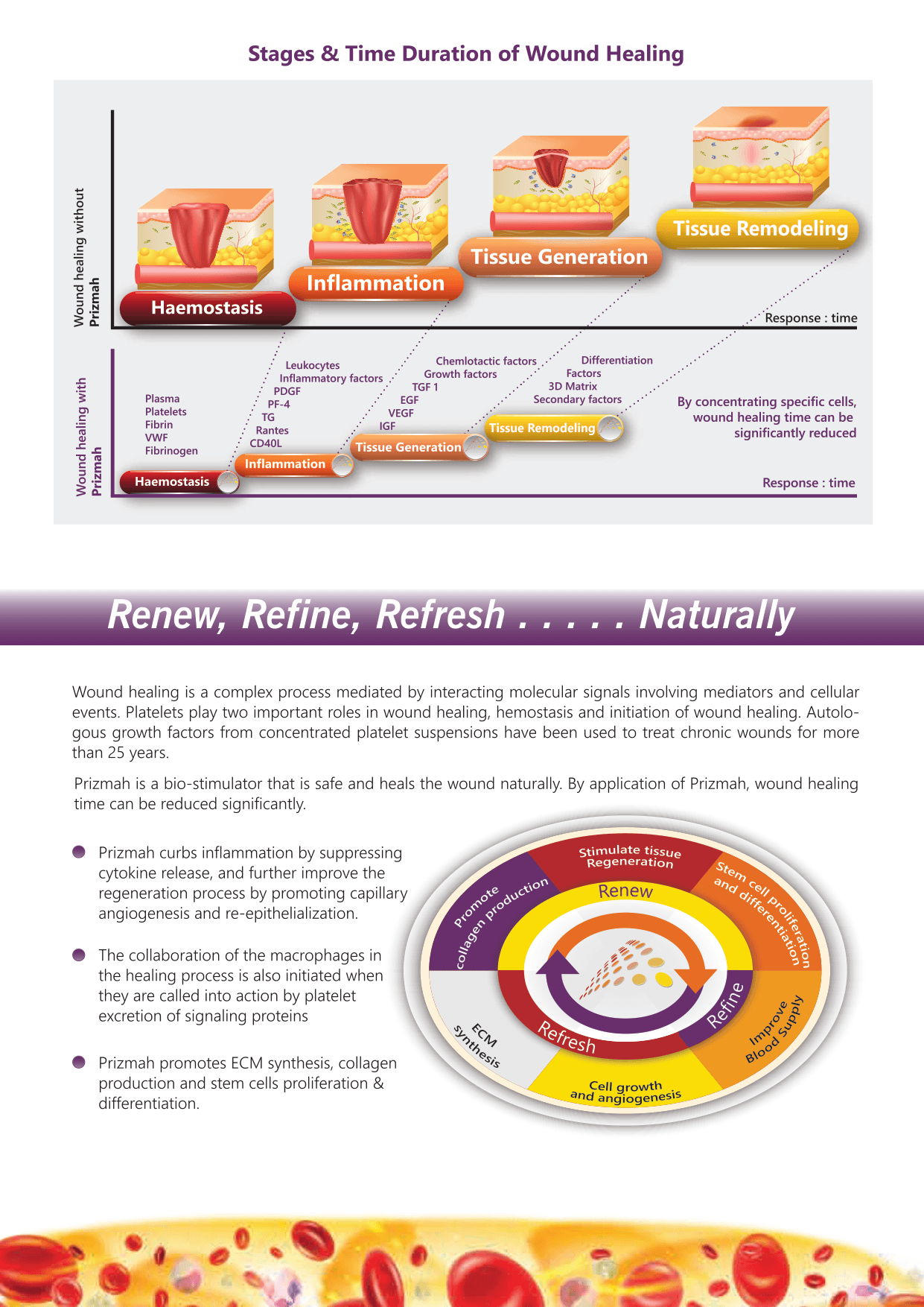 Stages and time duration of wound healing with and without Prizmah